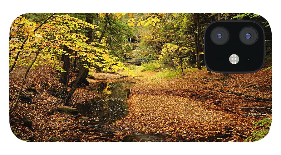 Photography iPhone 12 Case featuring the photograph Autumn Stream by Larry Ricker