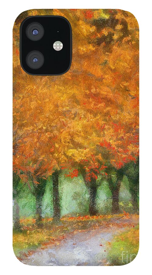 Autumn iPhone 12 Case featuring the photograph Autumn Trees by Kerri Farley