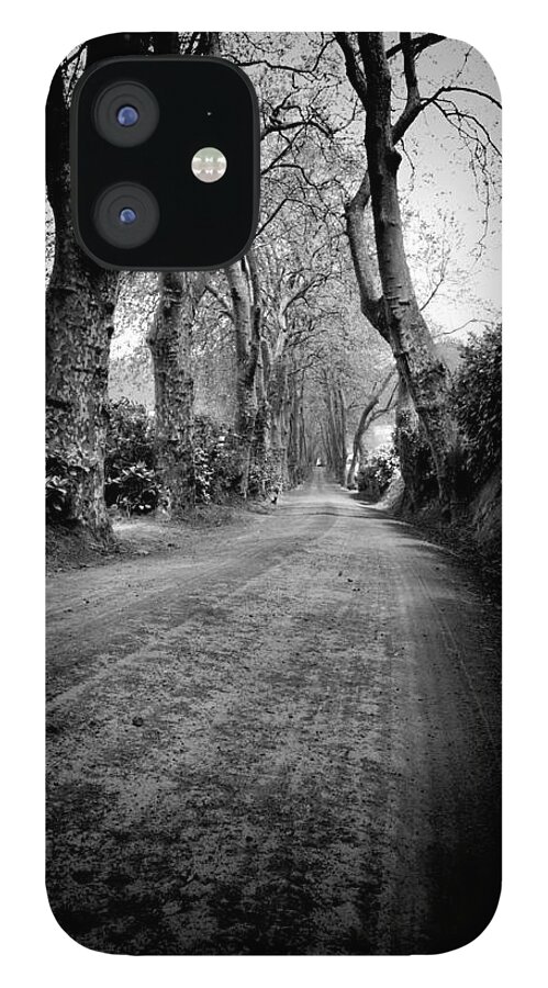 Acores iPhone 12 Case featuring the photograph Back Road East by Joseph Amaral
