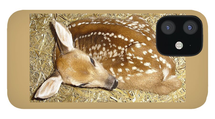 Fawn iPhone 12 Case featuring the photograph Bambi by Jodie Marie Anne Richardson Traugott     aka jm-ART