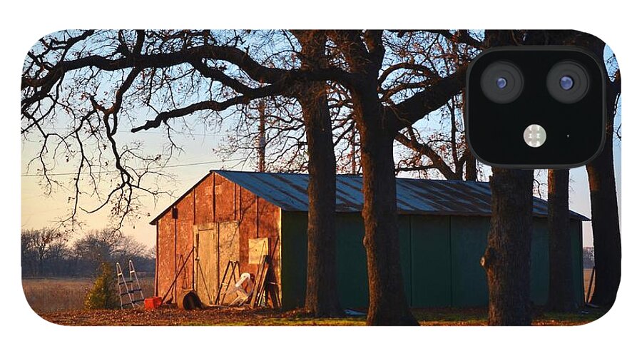  iPhone 12 Case featuring the photograph Barn under Oak Trees by Ricardo J Ruiz de Porras