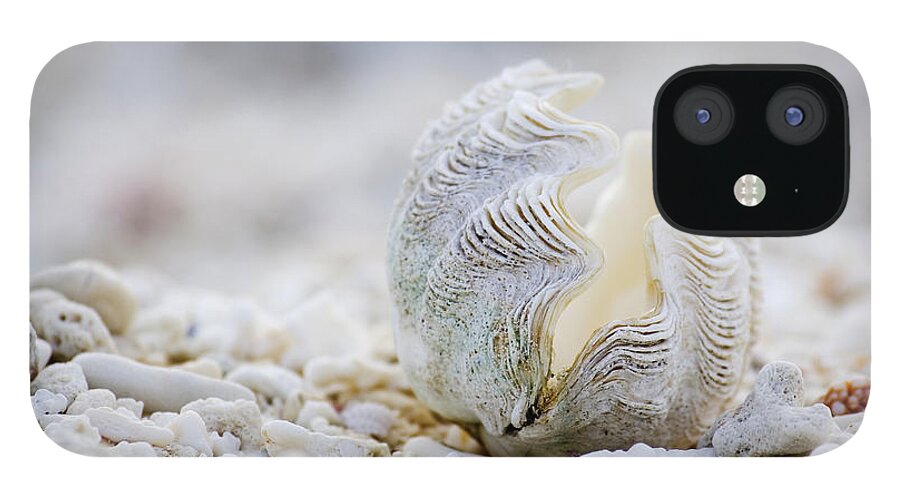Clamshell iPhone 12 Case featuring the photograph Beach Clam by Sean Davey