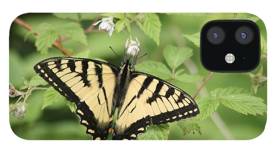 Yellow iPhone 12 Case featuring the photograph Beautiful Butterfly by Lynne McQueen
