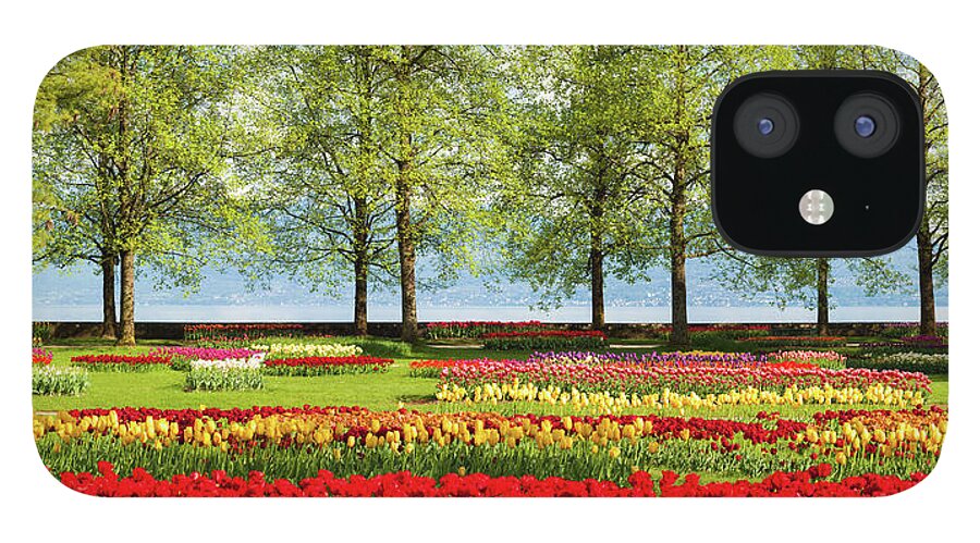 Flowerbed iPhone 12 Case featuring the photograph Beautiful Tulip Garden Near Lake Geneva by Xenotar