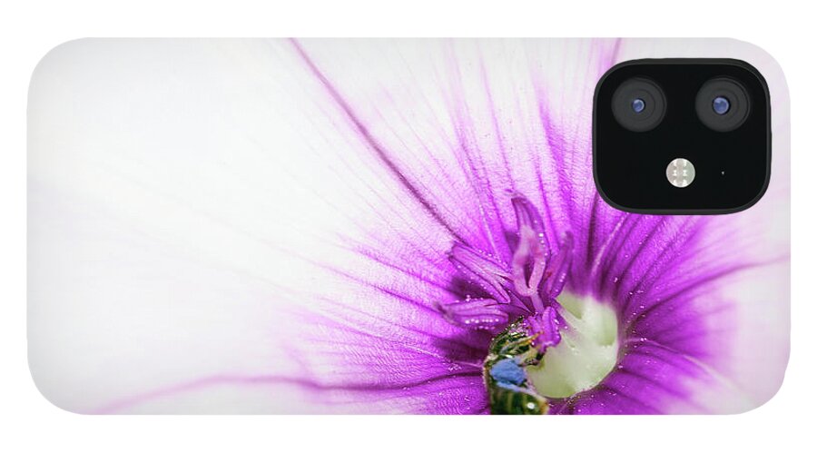 Insect iPhone 12 Case featuring the photograph Been On Stamina Of A Magenta Wildflower by By Paco Calvino (barcelona, Spain)