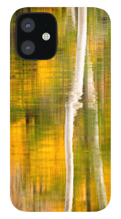 Abstract iPhone 12 Case featuring the photograph Birch Reflections by Jeff Sinon
