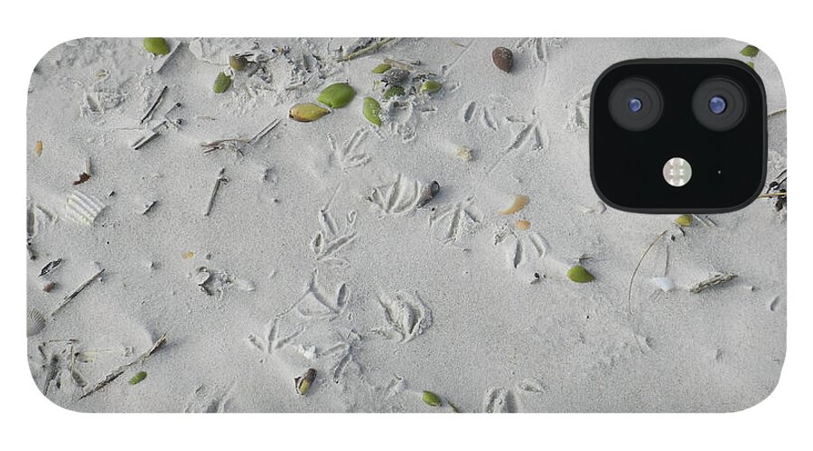 Seashore iPhone 12 Case featuring the photograph Bird Tracks by Deborah Ferree