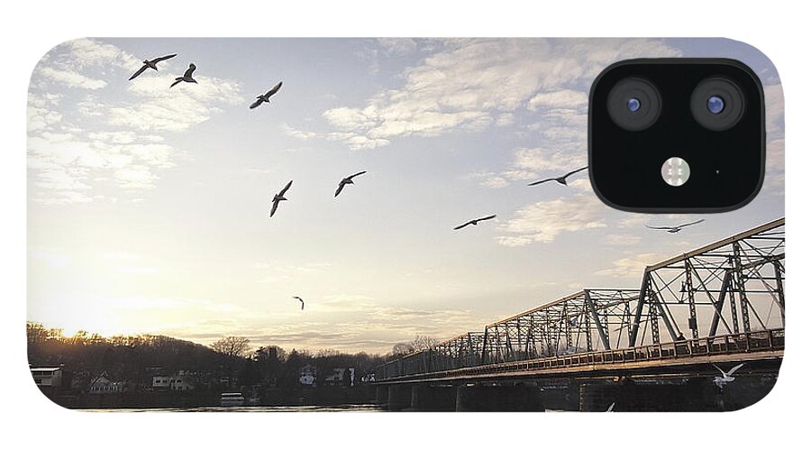 Birds iPhone 12 Case featuring the photograph Birds and Bridges by Christopher Plummer