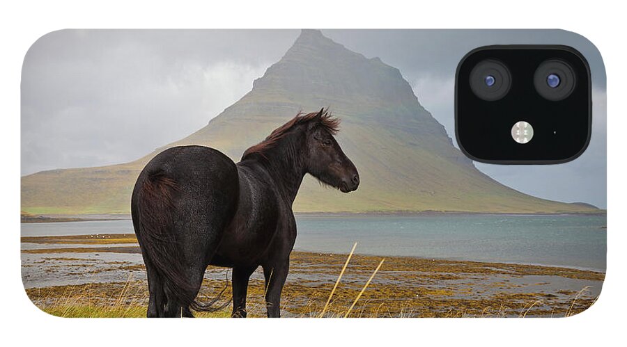 Horse iPhone 12 Case featuring the photograph Black Horse In Iceland by Horstgerlach