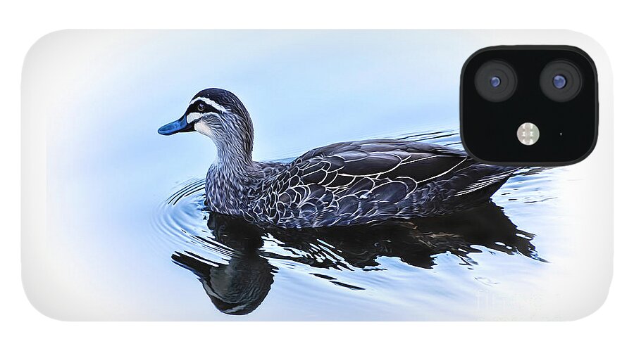Blue Billed Duck iPhone 12 Case featuring the photograph Blue Billed Duck by Kaye Menner