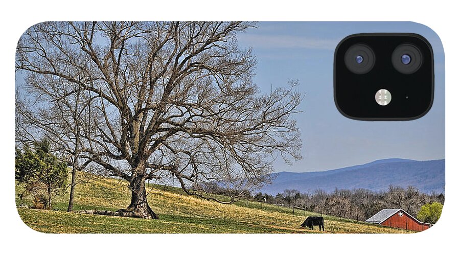 Blue Ridge Mountains iPhone 12 Case featuring the photograph Blue Ridge Farm by Lara Ellis