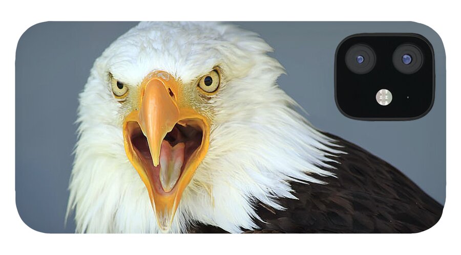 Animal iPhone 12 Case featuring the photograph Bald Eagle by Teresa Zieba