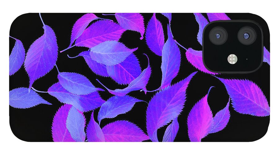Haslemere iPhone 12 Case featuring the photograph Bright Coloured Leaf Fantasy On Black by Rosemary Calvert