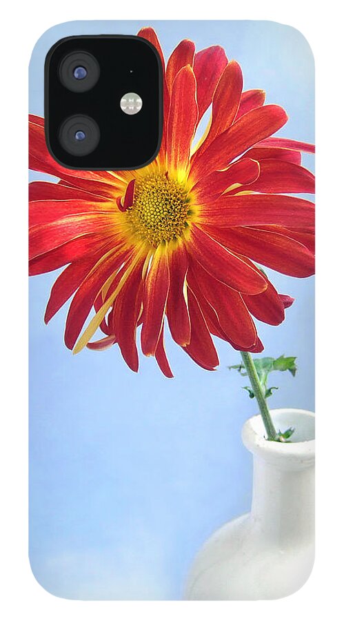 Gerbera iPhone 12 Case featuring the photograph Bright Day Daisy by Louise Kumpf