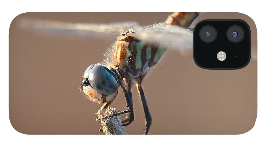 Dragonfly iPhone 12 Case featuring the photograph Brown Dragonfly by Dusty Wynne