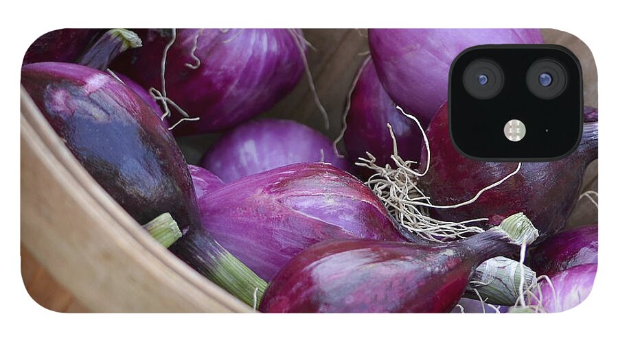 Bushel Of Red Onions iPhone 12 Case featuring the photograph Bushel of Red Onions Farmers Market by Julie Palencia