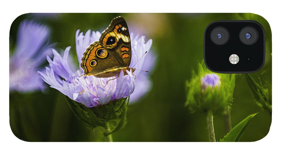 Close-ups iPhone 12 Case featuring the photograph Butterfly in Field by Donald Brown