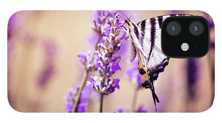 Working iPhone 12 Case featuring the photograph Butterfly On Lavender by Artmarie