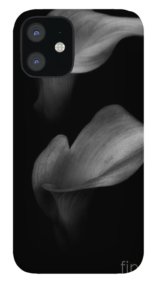 Venetta Archer iPhone 12 Case featuring the photograph Calla Couple by Venetta Archer