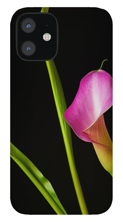 Calla Lily iPhone 12 Case featuring the photograph Calla Lily by Thomas Lavoie