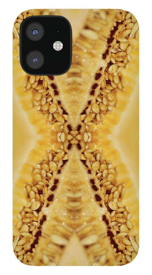 Cantaloupe iPhone 12 Case featuring the photograph Cantaloupe Seeds Inside A Freshly Cut by Silvia Otte