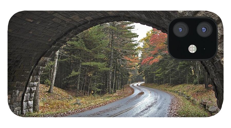 Acadia National Park iPhone 12 Case featuring the photograph Carriage Bridge by Karin Pinkham