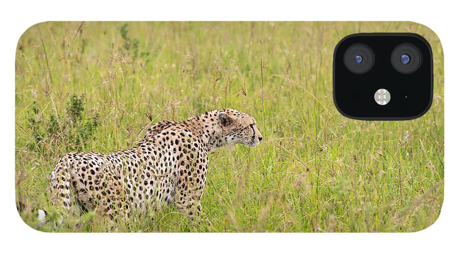 Kenya iPhone 12 Case featuring the photograph Cheetah And Safari Car At Masai Mara by 1001slide