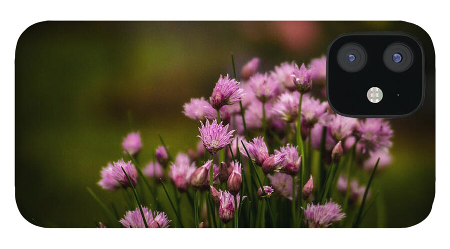 Floral iPhone 12 Case featuring the photograph Chives by Pamela Taylor