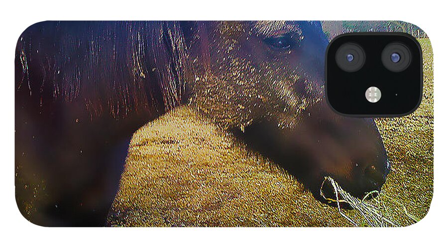 Horse iPhone 12 Case featuring the photograph Chow Time by Linda N La Rose