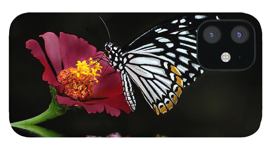 Butterfly iPhone 12 Case featuring the photograph Cliche on Burgundy by Lois Bryan