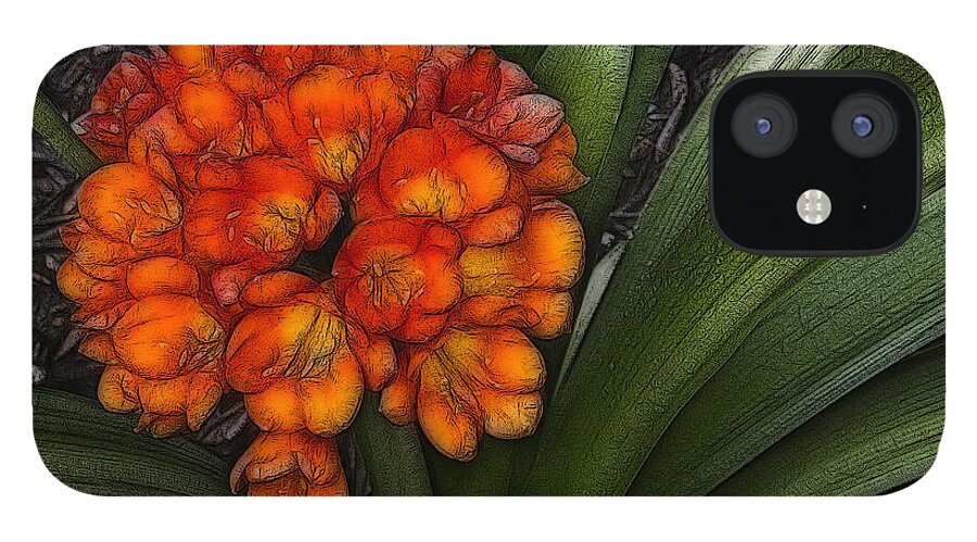 Clivia Flowers iPhone 12 Case featuring the digital art Clivia by Photographic Art by Russel Ray Photos