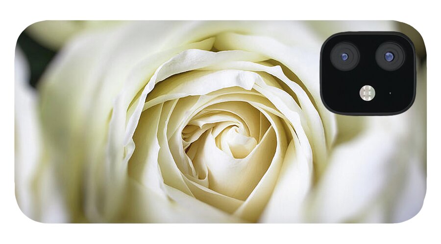 Fragility iPhone 12 Case featuring the photograph Close Up White Rose by Garry Gay