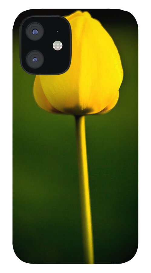 Floral iPhone 12 Case featuring the photograph Closed Yellow Flower by John Wadleigh