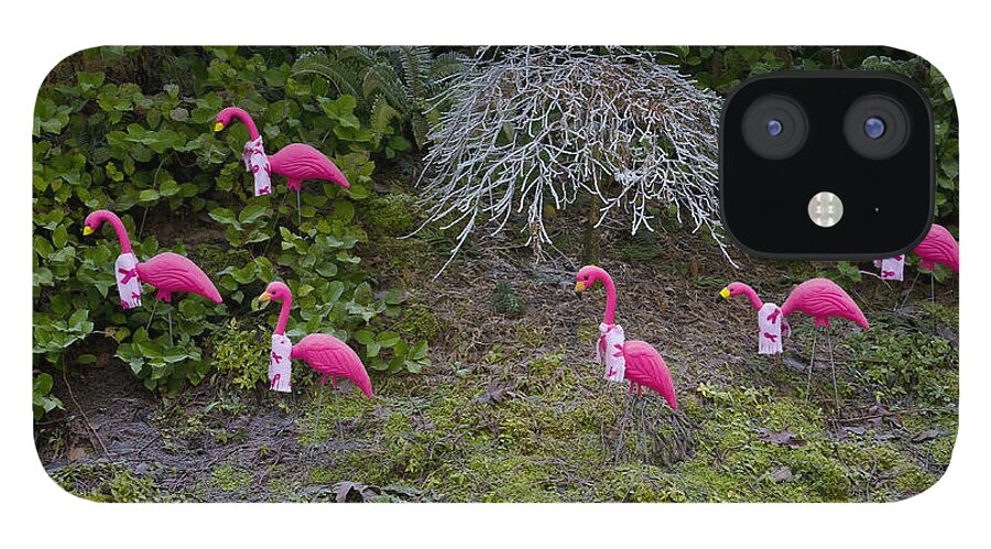 Wall Art iPhone 12 Case featuring the photograph Cold Pink Flamingos by Ron Roberts