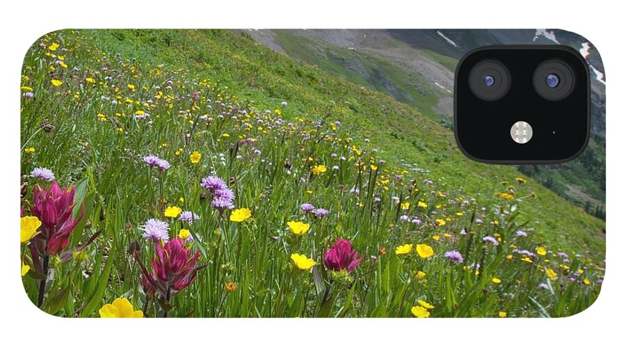 Colorado iPhone 12 Case featuring the photograph Colorado Wildflowers and Mountains by Cascade Colors