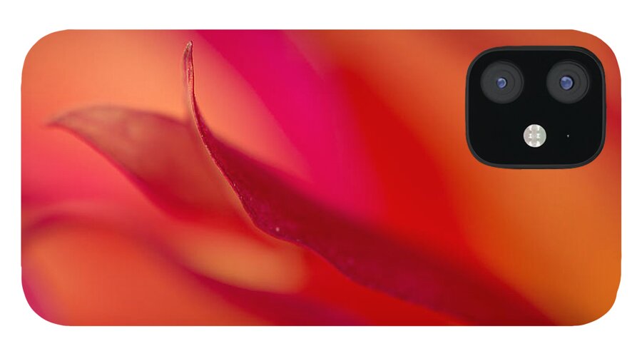 Floral iPhone 12 Case featuring the photograph Colorful Motion by Mary Jo Allen