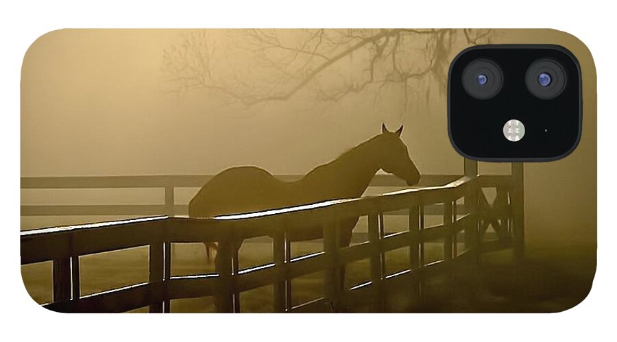 Horse iPhone 12 Case featuring the photograph Coosaw Early Morning Mist by Scott Hansen