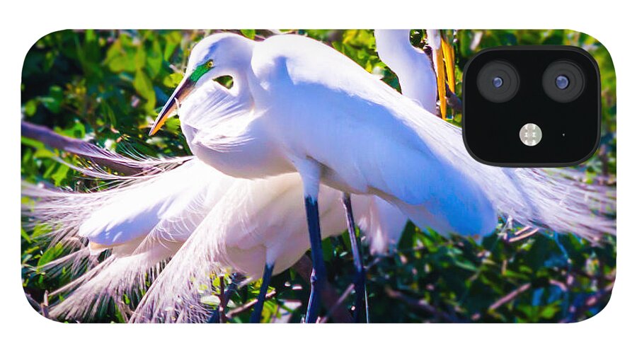 susan Molnar iPhone 12 Case featuring the photograph Criss-Cross Egrets by Susan Molnar