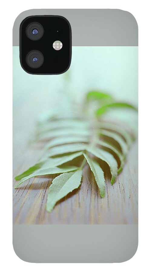 Curry Leaves iPhone 12 Case