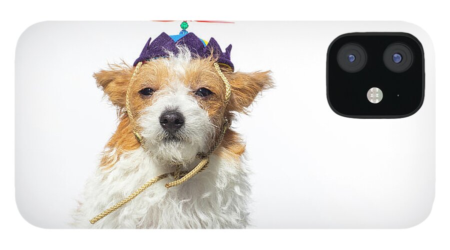 Pets iPhone 12 Case featuring the photograph Cute Dog With Propeller Hat - The by Amandafoundation.org