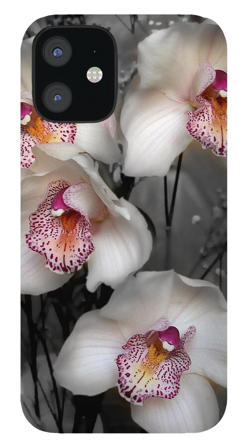 Flowers iPhone 12 Case featuring the photograph Cymbidium Orchid White I Still Life Flower Art Poster by Lily Malor