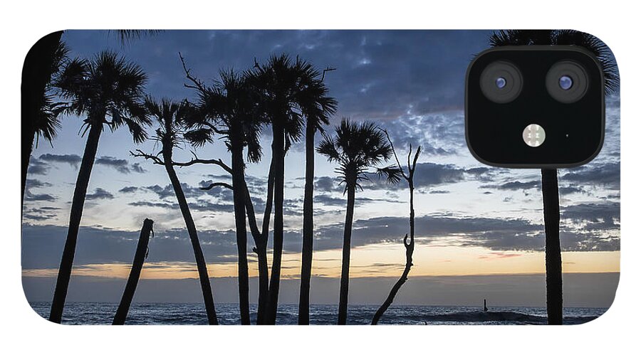 Dawn iPhone 12 Case featuring the photograph Dawn Silhouettes 01 by Jim Dollar