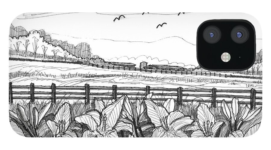 Day Lilies iPhone 12 Case featuring the drawing Day Lilies at Northwind Farms by Richard Wambach