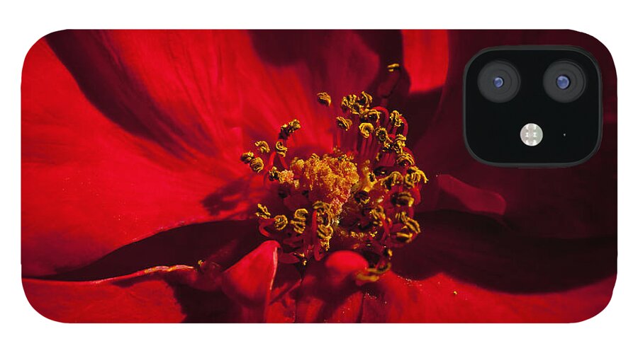 Deep Red iPhone 12 Case featuring the photograph Deep Red by Tikvah's Hope