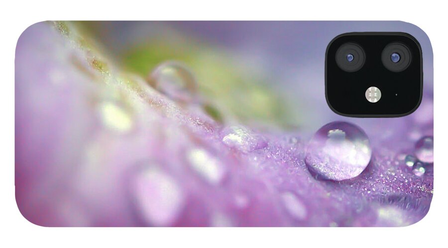 Macro iPhone 12 Case featuring the photograph Delicate Awareness by Kerri Farley