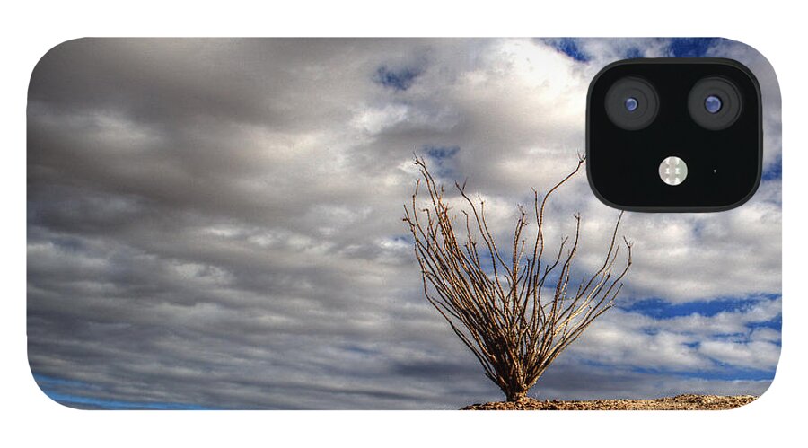 Skys iPhone 12 Case featuring the photograph Desert Skys Number One by Jeremy McKay