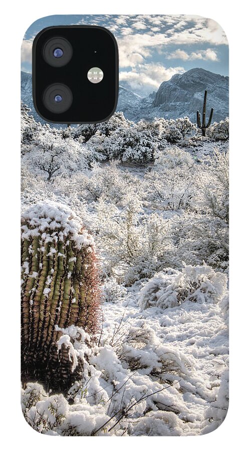 American Southwest iPhone 12 Case featuring the photograph Desert Snow by James Capo