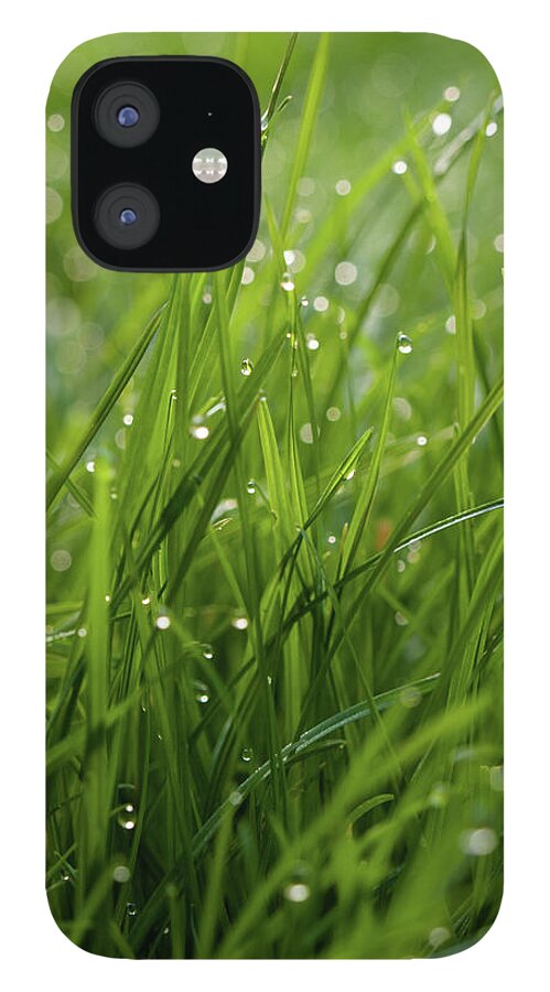 Grass iPhone 12 Case featuring the photograph Dew Respect by James Galpin