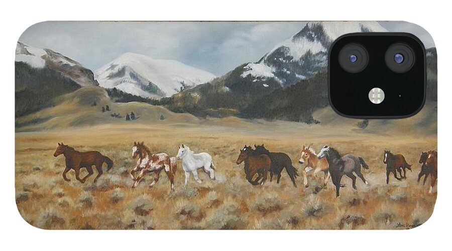 Horse iPhone 12 Case featuring the painting Discovery Horses FRAMED by Lori Brackett