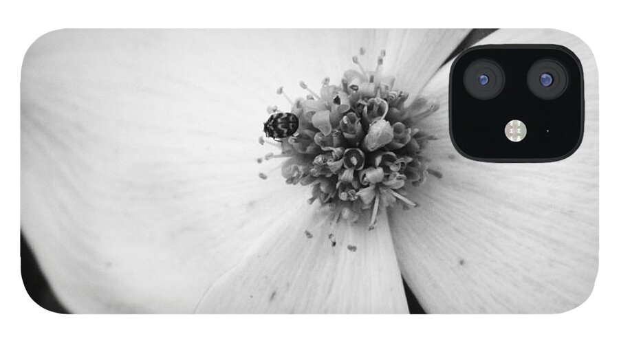 Flower iPhone 12 Case featuring the photograph Dogwood Black and White 2 by Andrea Anderegg